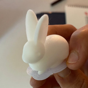 my first print of smooth bunny